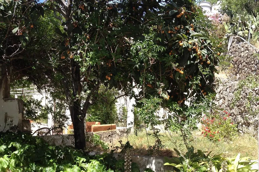 Casa Del Caminero En Tejeda Pensionat Lantställe